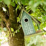 Ferienapartments Schnibbe Bad Lauterberg