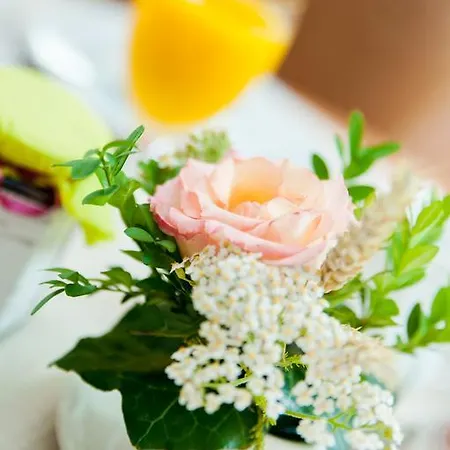 Ferienapartments Schnibbe * Bad Lauterberg