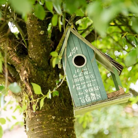 Ferienapartments Schnibbe Bad Lauterberg
