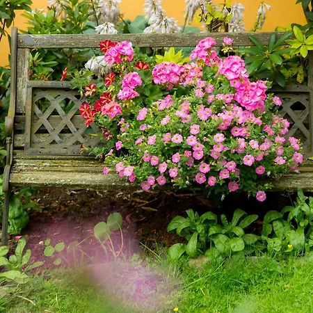 Ferienapartments Schnibbe Lägenhet